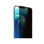 WIWU PROTEC IPRIVACY 12/12PRO