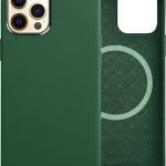 WIWU IP CASE MAGS MAG IP13 6.7 GREE