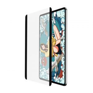 WIWU REMOV MAG PROTCTER MINI6 9,7